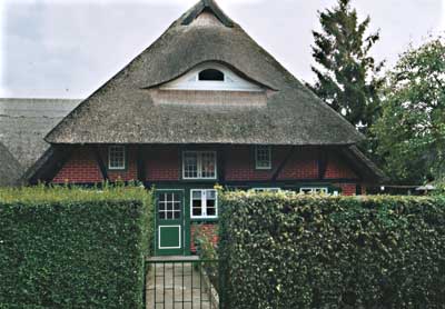 Red thatched roof house