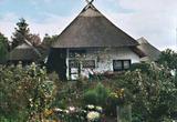White thatched roof house
